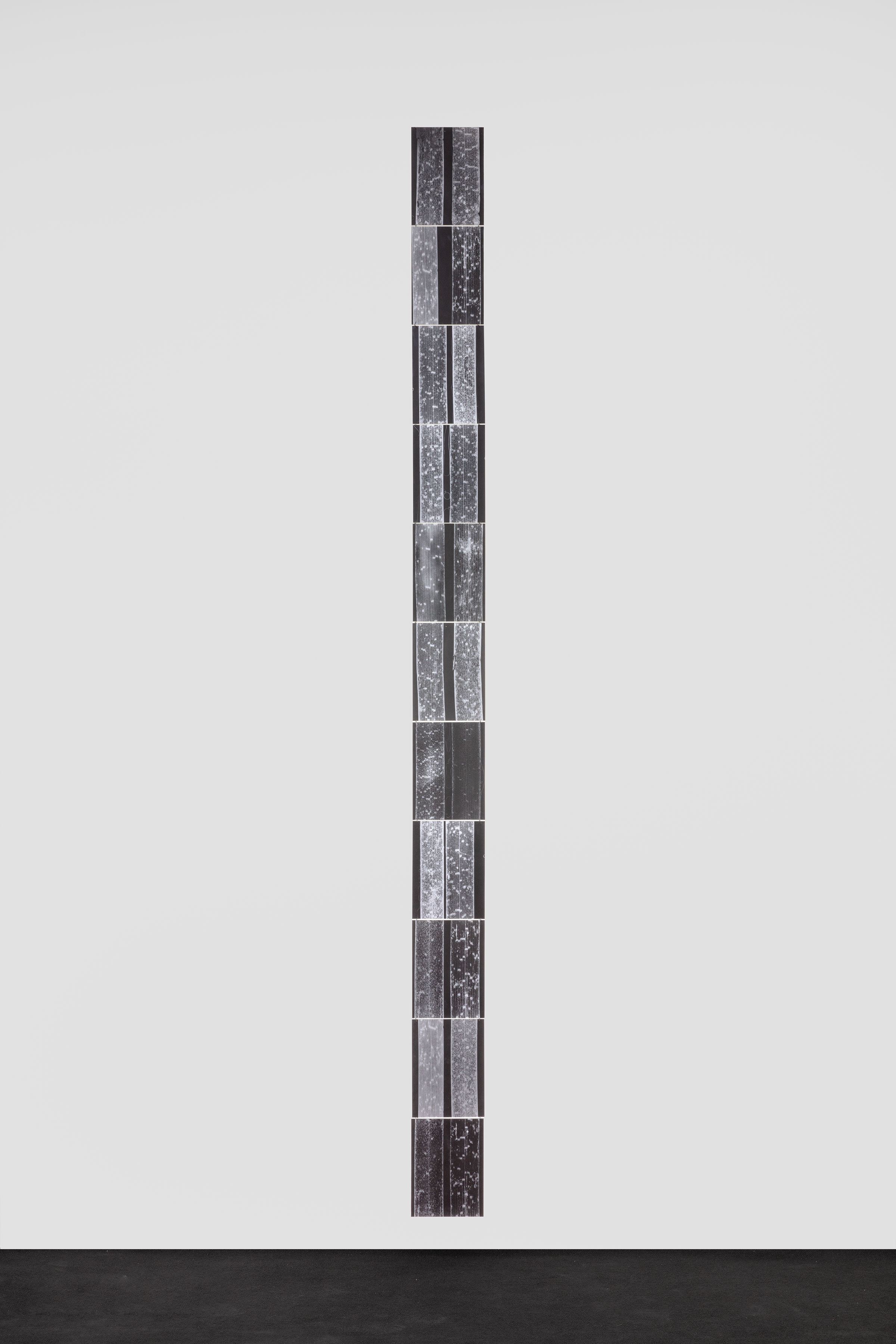 Renato Leotta, CONCERTINO per il mare, 2022